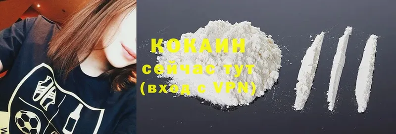 kraken вход  Котлас  КОКАИН Fish Scale 