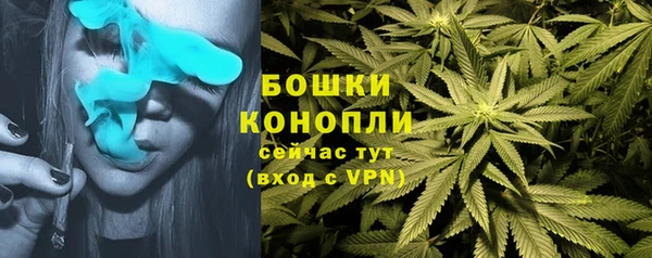 прущая мука Пересвет