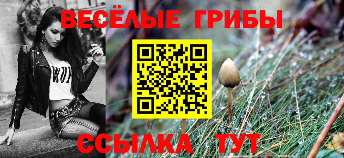Галлюциногенные грибы MAGIC MUSHROOMS  Галлюциногенные грибы ЛСД  Вход с VPN  где купить наркоту  Котлас 