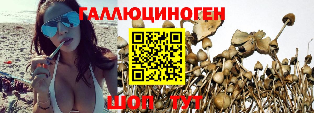 Псилоцибиновые грибы ЛСД Котлас